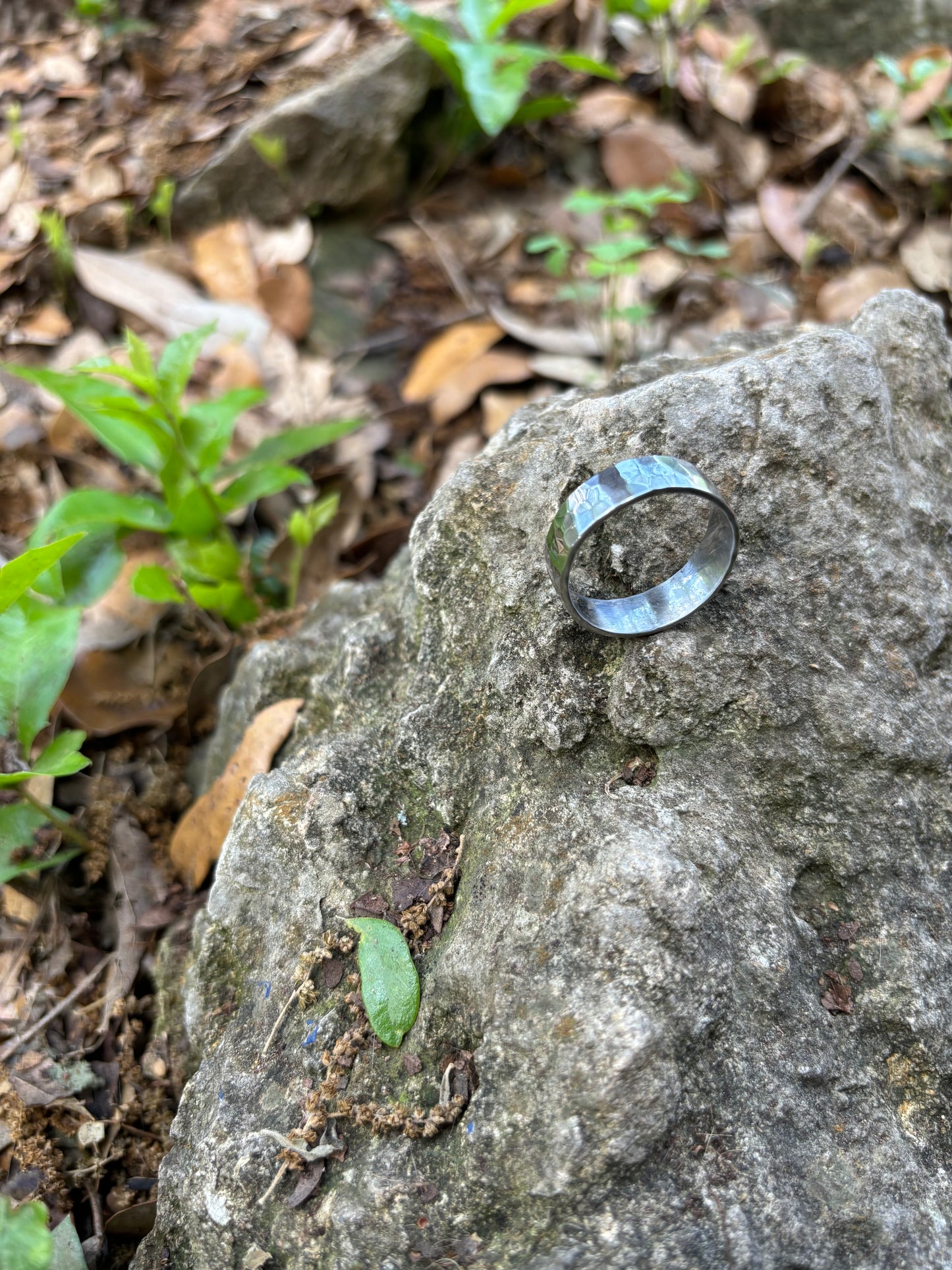 Forged Stainless Ring