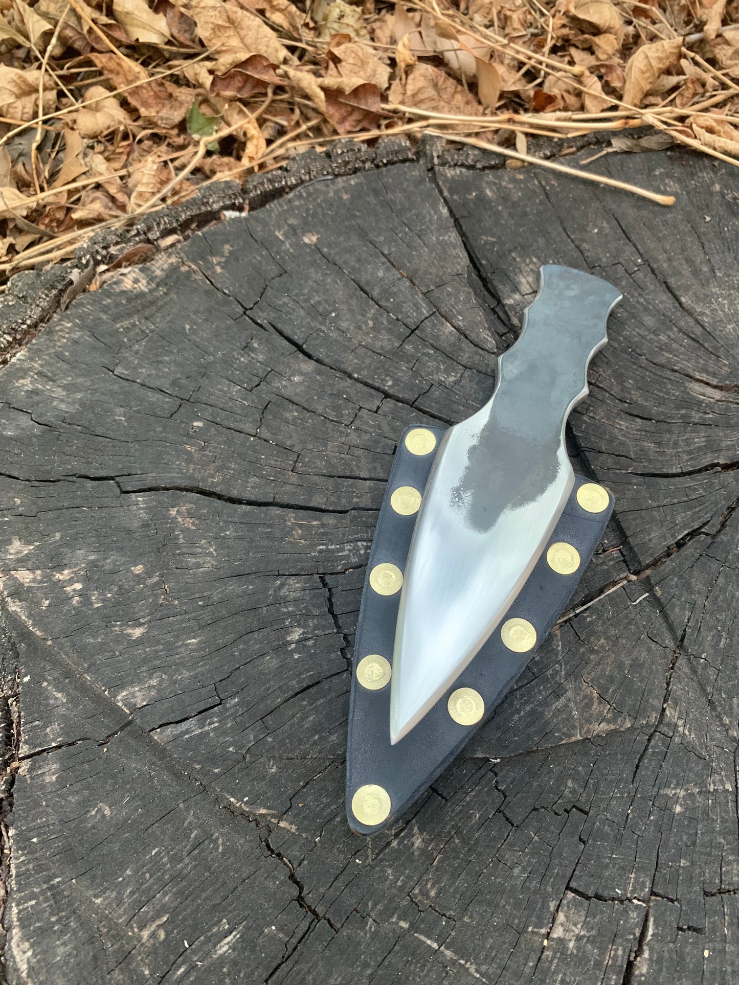 Throwing dagger w/sheath